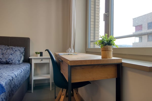 Furnished studio in a top location 6