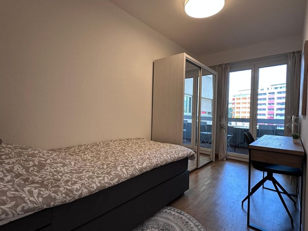 Coliving Spacieux entre Ville et Nature à Thônex 5