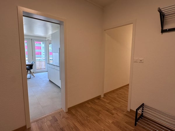 Coliving Spacieux entre Ville et Nature à Thônex 21