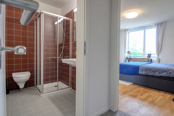 Appartement vivant spacieux à Crissier avec salle de bain privée 13