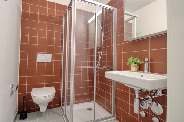 Appartement vivant spacieux à Crissier avec salle de bain privée 12