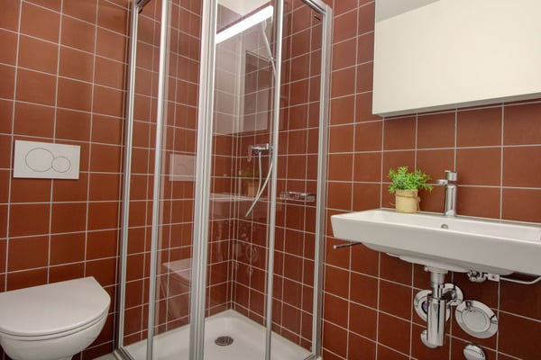 Appartement vivant spacieux à Crissier avec salle de bain privée 11