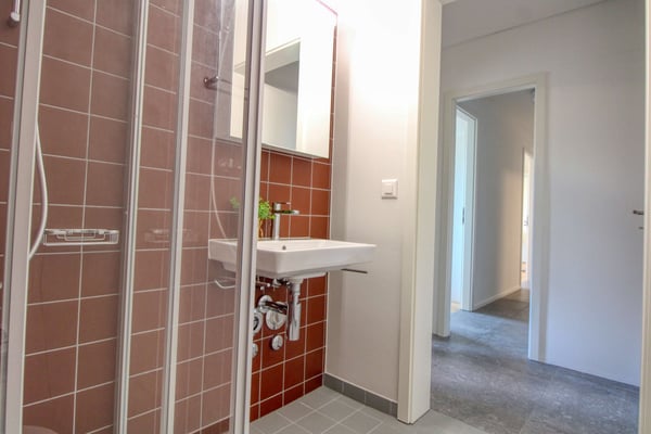 Appartement vivant spacieux à Crissier avec salle de bain privée 10