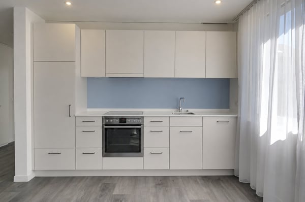 Frisch sanierte 2.5-Zimmer-Wohnung in Greifensee 3