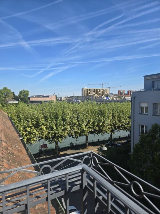 Charmante 4.5-Zimmer-Altbau-Maisonette mit Rheinsicht 7