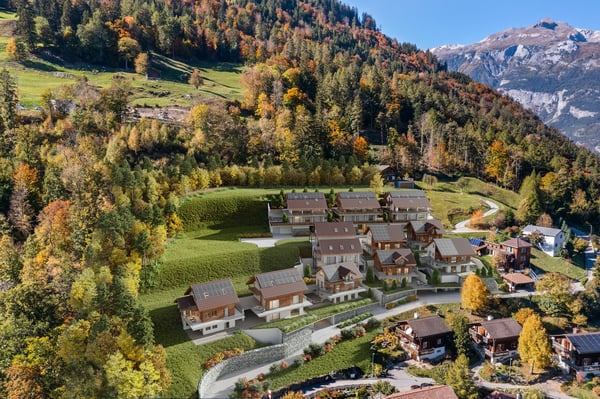 Bauland erschlossen mit 9 Bewilligten Bauten 3