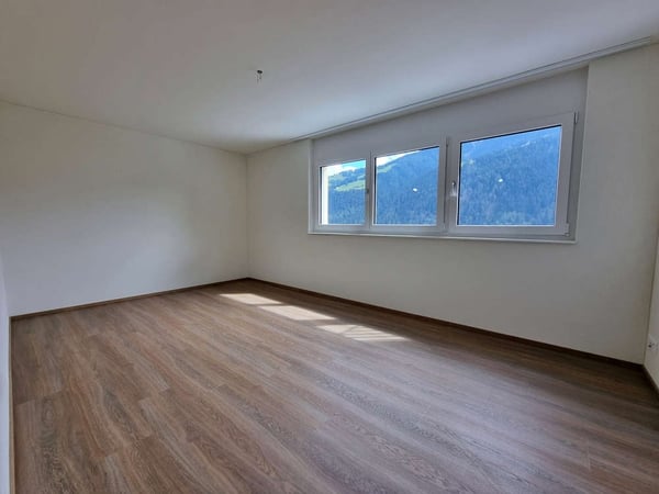 Wunderschöne grosszügige Erstwohnung mit Aussicht 12