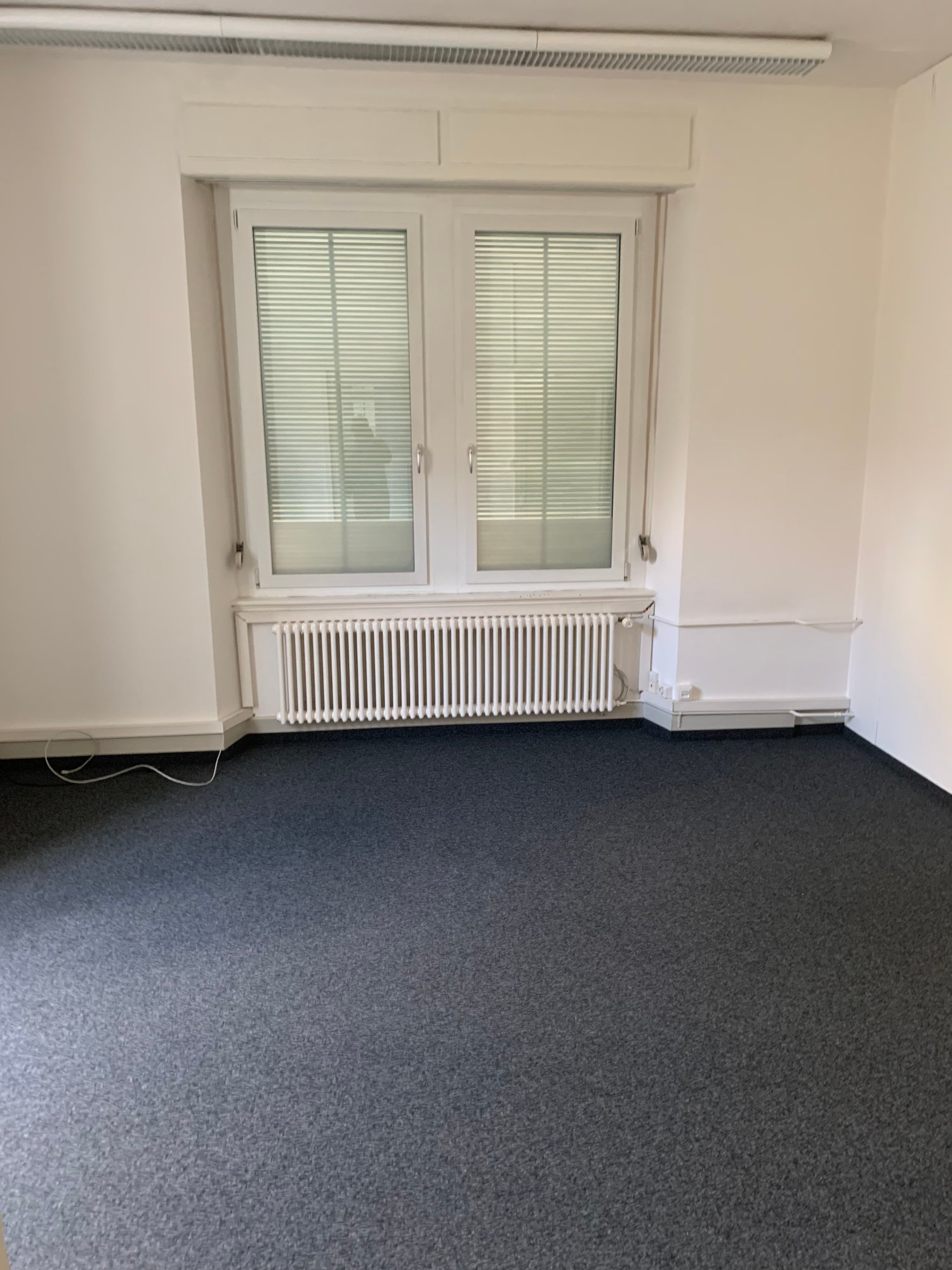 empty room, white walls, white radiator, double windows, gray carpet