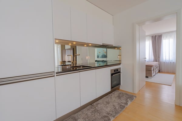 Exklusive Stadtwohnung mit See- und Bergkulisse 3