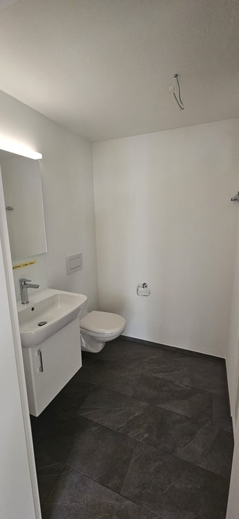Gemütliches Studio / Büro / Atelier in Unterwasser 3