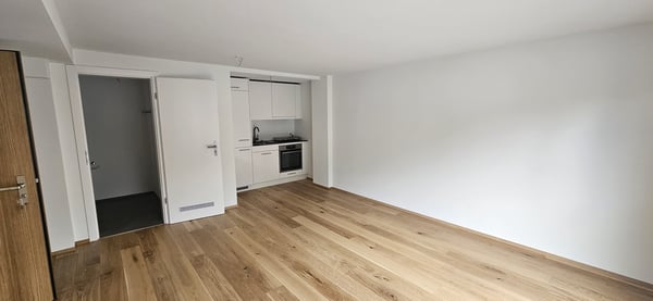 Gemütliches Studio / Büro / Atelier in Unterwasser 2