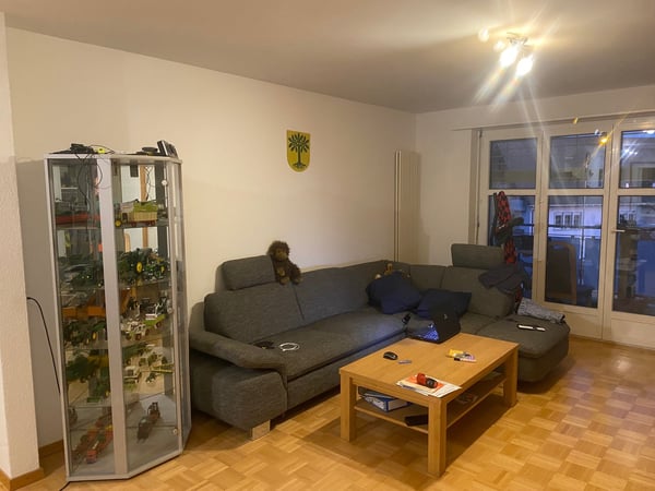 Gemütliche 3.5-Zimmer-Wohnung mit sonnigem Sitzplatz in Marthalen 4