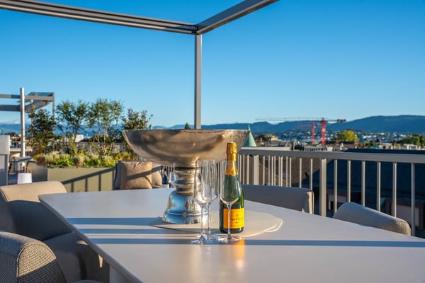 Brandnew: Rooftop Serviced & Furnished Apartment in Prime Seefeld Location 16