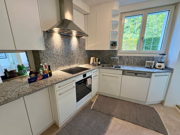 NEU! 1-Bedroom-Apartment mit Gartenterrasse am Zürichberg 12