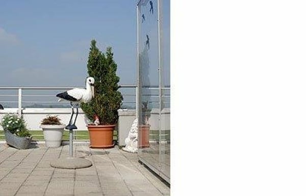 4.5 Zimmer Attikawohnung mit grosser Terrasse 7