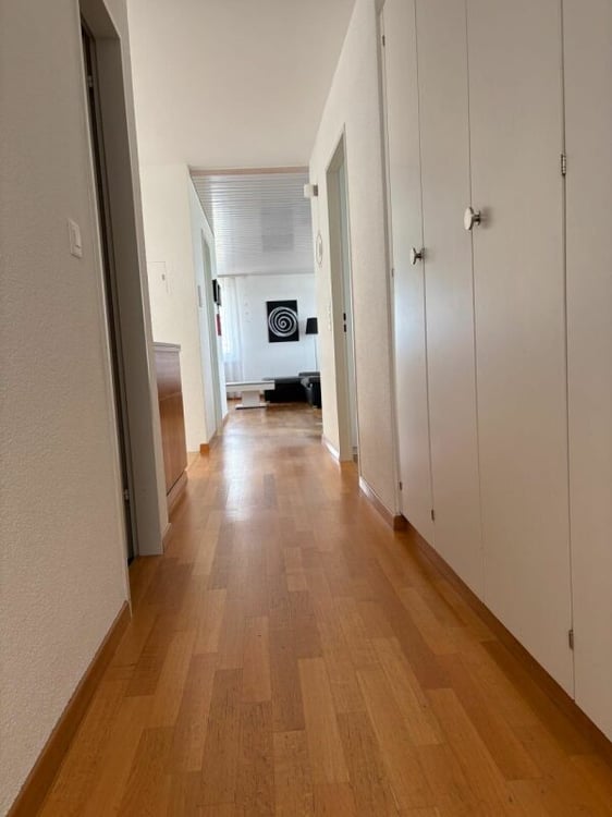 4.5 Zimmer Attikawohnung mit grosser Terrasse 6