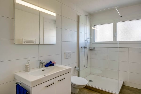 Moderne 3.5 Zimmer-Wohnung 5
