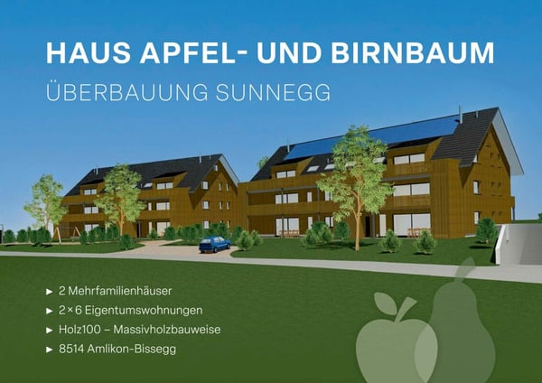 Überbauung Sunnegg - Wohntraum in Holz100 1