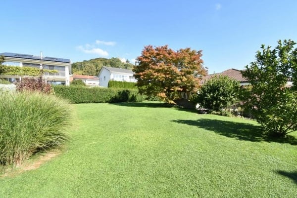 Offene Architektur mit grossem Grundstück 3