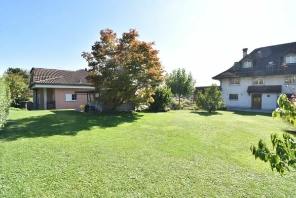 Offene Architektur mit grossem Grundstück 2