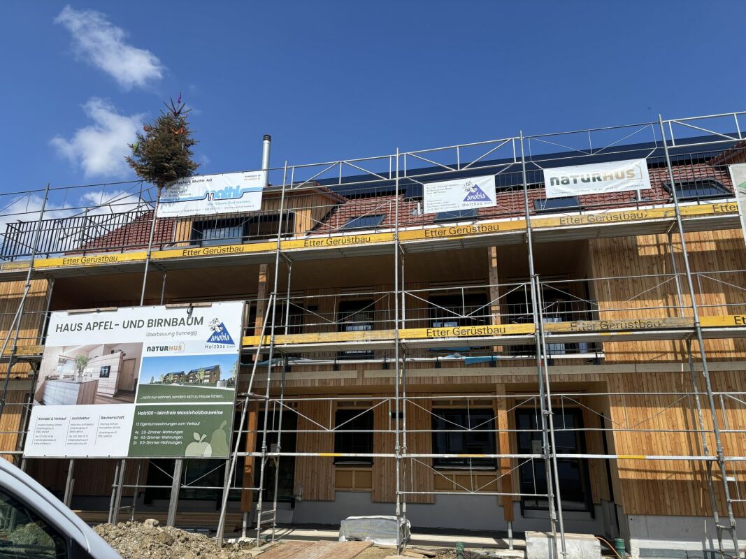 Überbauung Sunnegg - Wohntraum in Holz100
