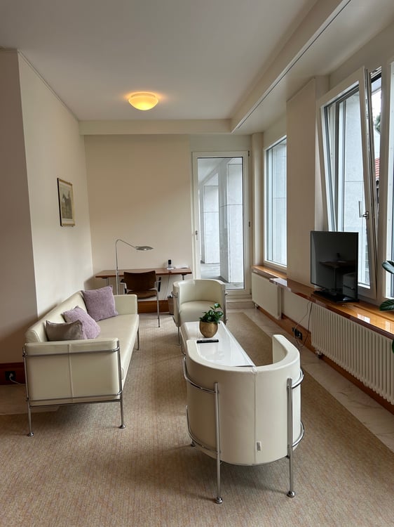 4.5-Zimmer-Attika-Wohnung im Zentrum von St. Gallen 4