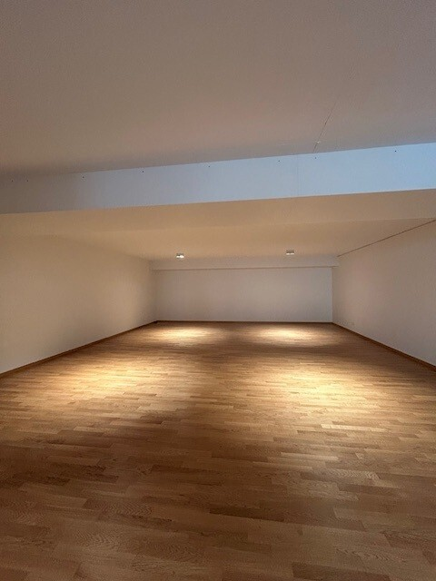 1-Zimmer-Wohnung / Atelier / Büro (162 m2) - Im Zentrum von St. Gallen 4