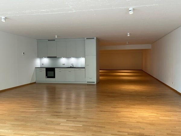 1-Zimmer-Wohnung / Atelier / Büro (162 m2) - Im Zentrum von St. Gallen 3
