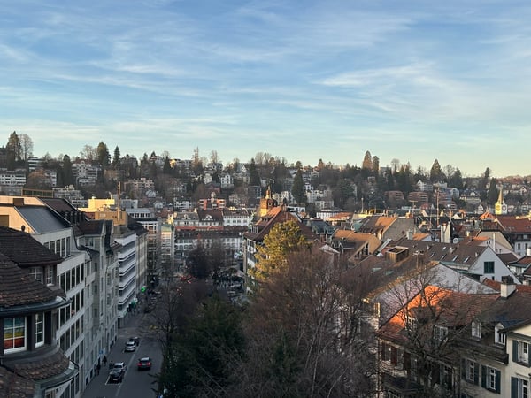 1.5-Zimmer-Attika-Wohnung im Zentrum von St. Gallen 10