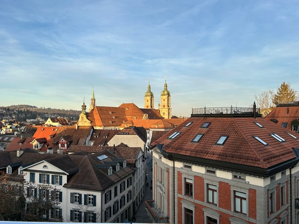 1.5-Zimmer-Attika-Wohnung im Zentrum von St. Gallen 9