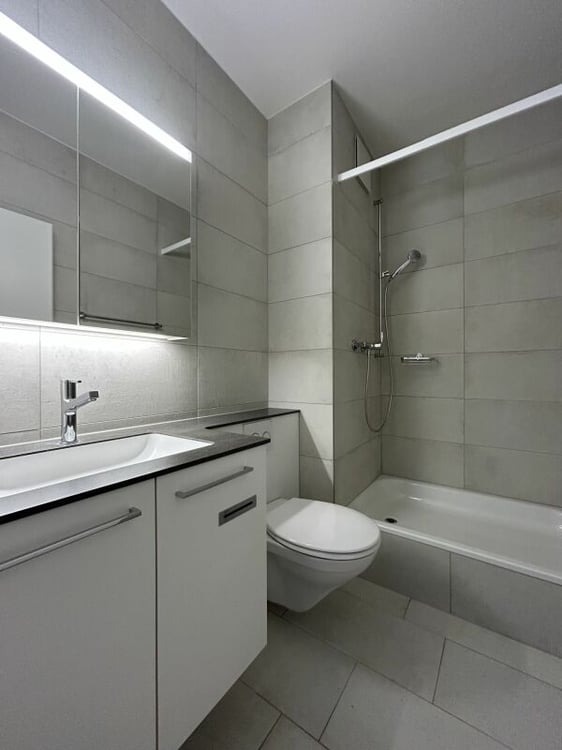 Frick / 1.5 Zimmer Wohnung 1. OG links 10