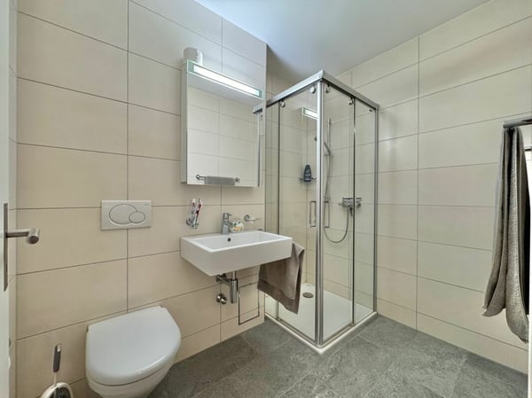 Frick / 1.5 Zimmer-Wohnung 9