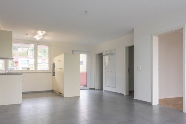 Brugg / 2.5 Zimmer Wohnung 0.2 4