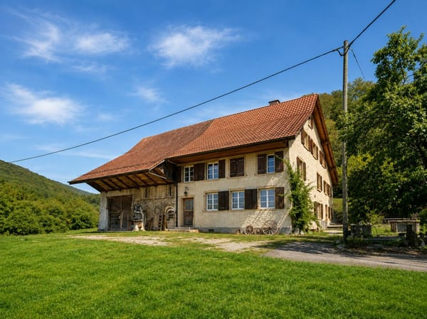 Bauernhaus Renovationsobjekt