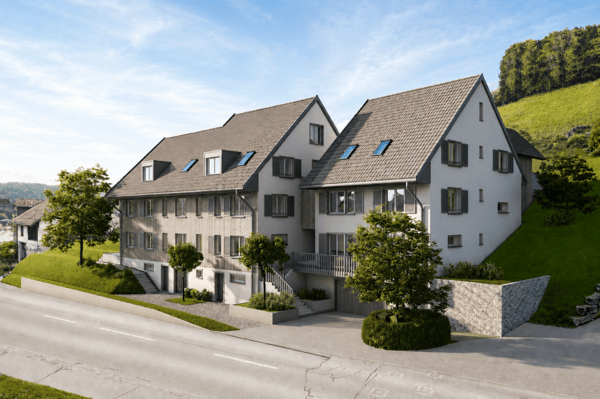 Einfamilienhaus (H-03) in Villigen 3