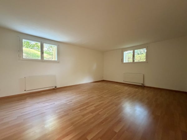 Frick / Freistehendes Einfamilienhaus 24