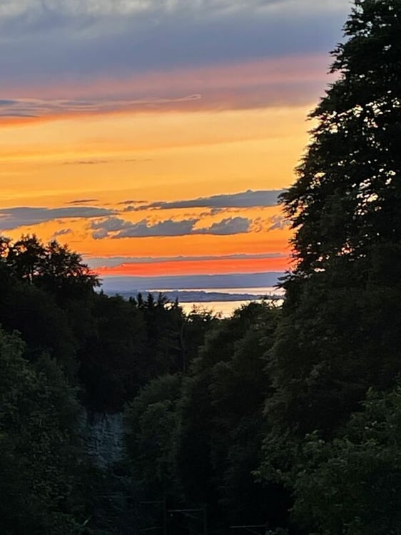 Traumhaftes Wohnen in Wienacht - Ihr neues Einfamilienhaus in Holzbauweise 17
