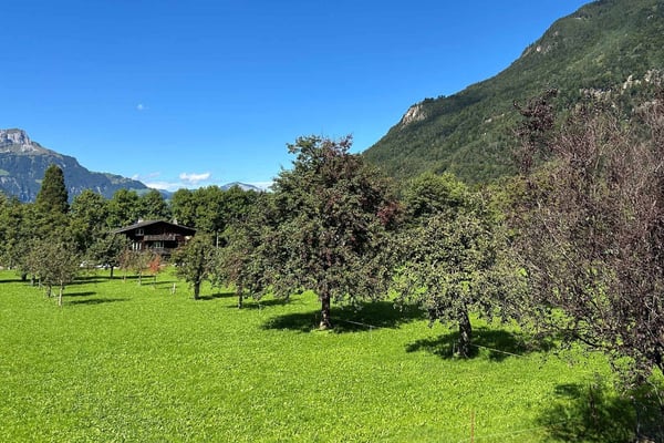 1.5 Zimmerwohnung an toller Lage - für Familien die viel Platz schätzen 5