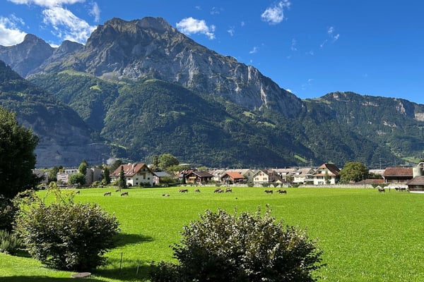 1.5 Zimmerwohnung an toller Lage - für Familien die viel Platz schätzen 3
