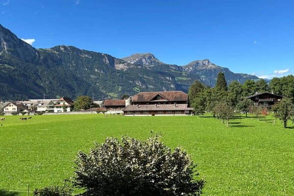 1.5 Zimmerwohnung an toller Lage - für Familien die viel Platz schätzen 13