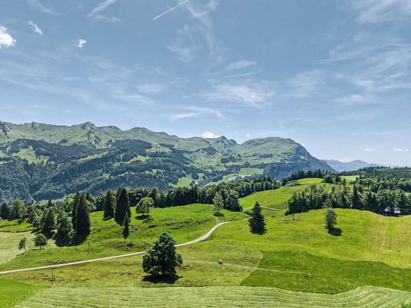 Goldau