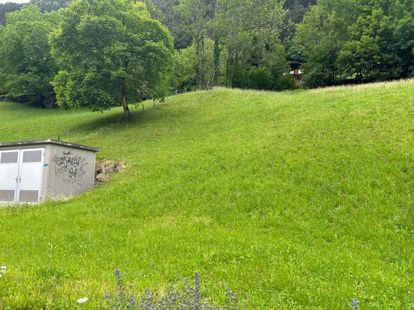 Bauland mit toller Bergsicht 9