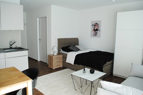 Möbliertes Studio mit Fitness und Wellnessraum 8