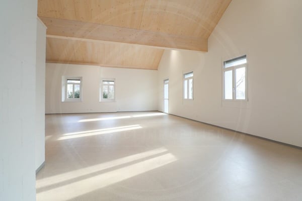 Ihr Firmensitz in Mellingen AG - Neubau-Gewerbefläche an der Reuss zu vermieten 9