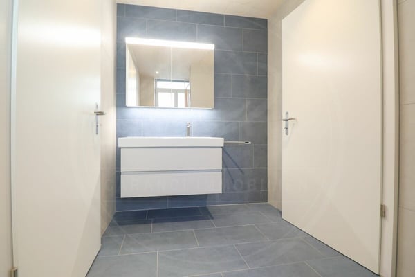 Ihr Firmensitz in Mellingen AG - Neubau-Gewerbefläche an der Reuss zu vermieten 12