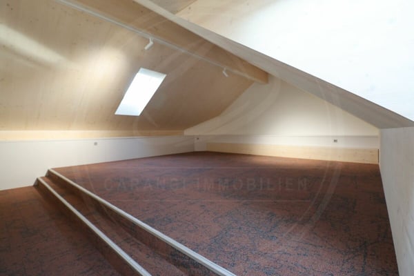 Ihr Firmensitz in Mellingen AG - Neubau-Gewerbefläche an der Reuss zu vermieten 17