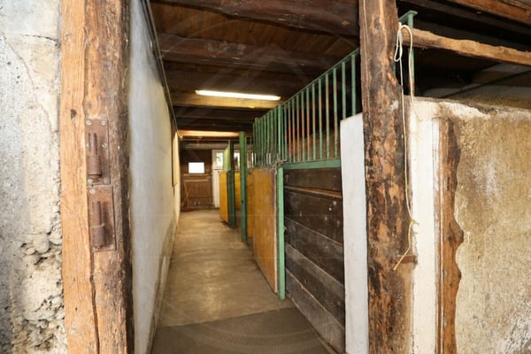 Zweifamilienhaus mit Stall und Landwirtschaftsland in Wettingen 11