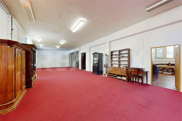 MFH Umbau-Projekt 3 - 4 Wohnungen im EG oder Praxis, Büro, Gewerbe; im OG: TOP 3.5 Zi-Dachwohnung 3