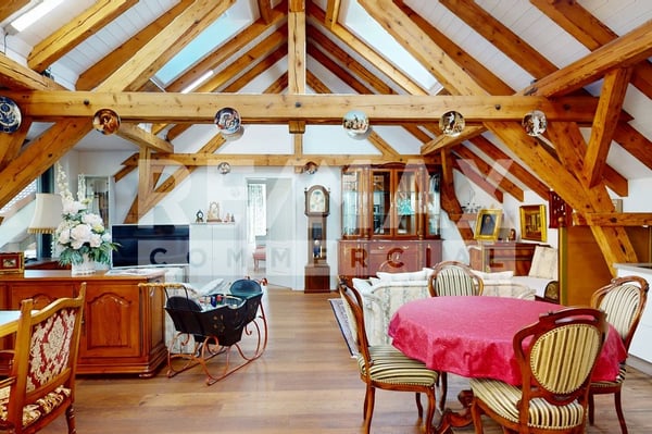 Gewerbehaus ebenerdig, für Loft-Büro, Praxis, Atelier, Showroom, H 3.5 m, 383 m² & 3.5 Zi DG-Wohnung 13