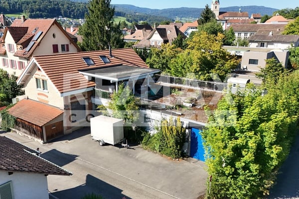 Gewerbehaus ebenerdig, für Loft-Büro, Praxis, Atelier, Showroom, H 3.5 m, 383 m² & 3.5 Zi DG-Wohnung 1